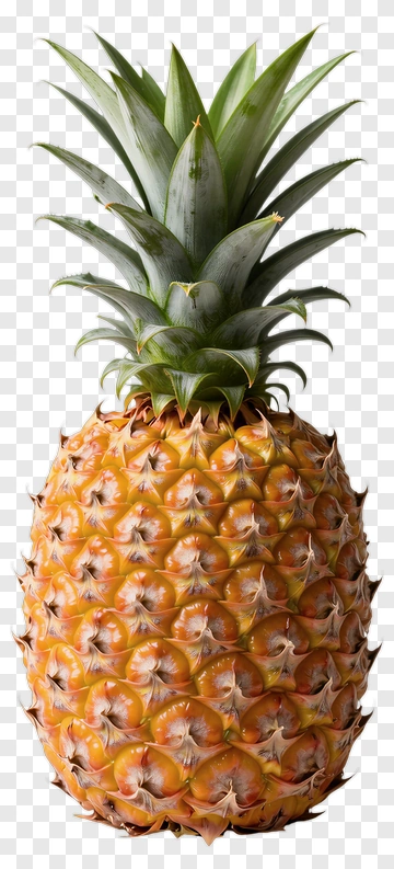 Pineapple With Green Leaves PNG