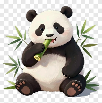 Cartoon Panda Eating Bamboo PNG