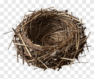 Bird's Nest Made Of Twigs And Grass PNG