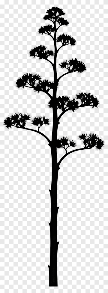 Silhouette Tree PNG