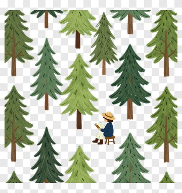 Person Reading In A Forest Of Pine Trees PNG