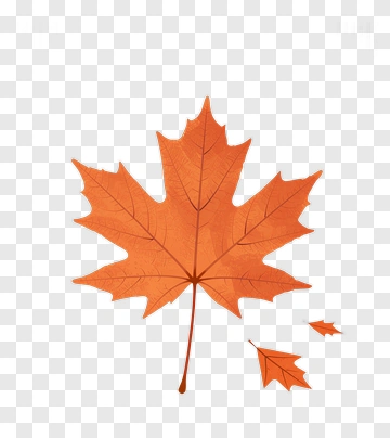 Orange Maple Leaf PNG