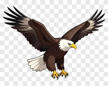 Cartoon Eagle Flying With Outstretched Wings PNG
