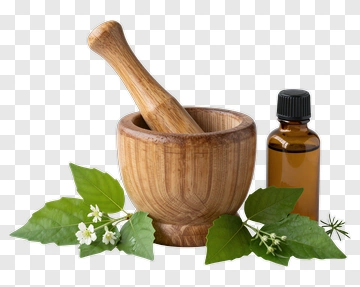 Wooden Mortar And Pestle With Essential Oil And Herbs PNG