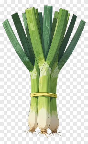 Bunch Of Green Onions PNG