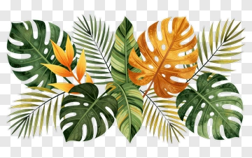 Colorful Tropical Leaves Arrangement PNG