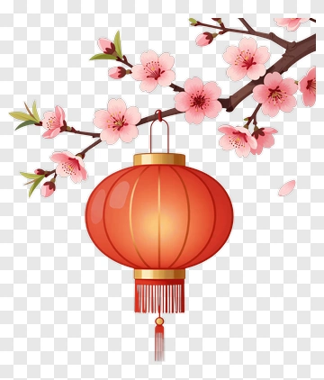 Red Lantern Hanging Among Cherry Blossom Branches PNG