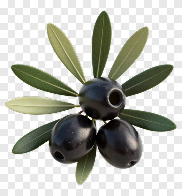 Black Olives With Olive Leaves PNG