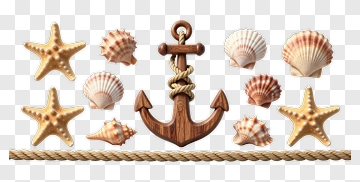 Nautical Anchor With Seashells And Starfish PNG