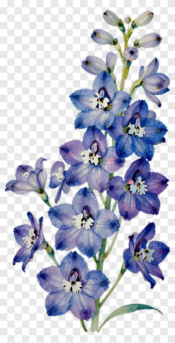 Watercolor Purple Flower Bouquet PNG