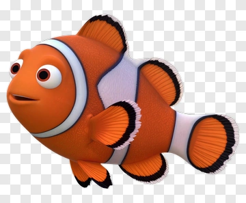 3D Clownfish Swimming PNG