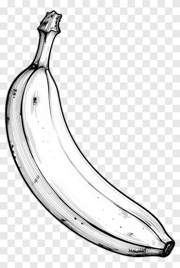 Illustration Of A Banana PNG
