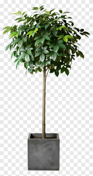 Felt Tree In A Square Pot PNG