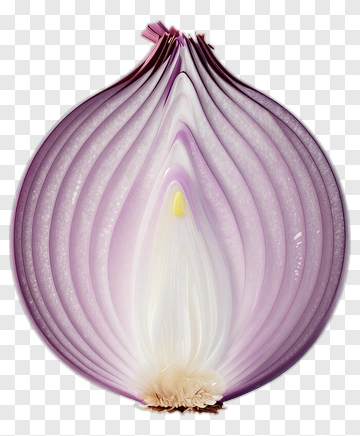 Cross-Section Of A Red Onion PNG