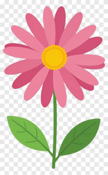Colorful Flower With Green Leaves PNG