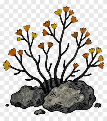 Colorful Plant Growing Among Rocks PNG