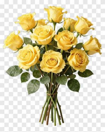 Bouquet Of Yellow Roses PNG