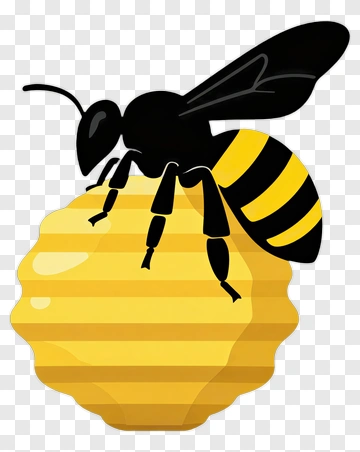 Cartoon Bee On A Honeycomb PNG