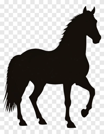 Silhouette Of A Horse PNG