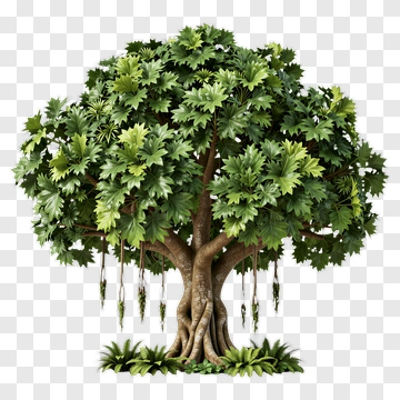 Realistic Tree With Lush Green Foliage PNG