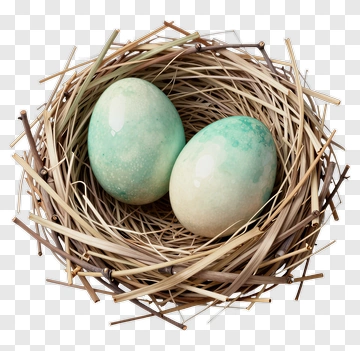 Bird Nest With Two Eggs PNG