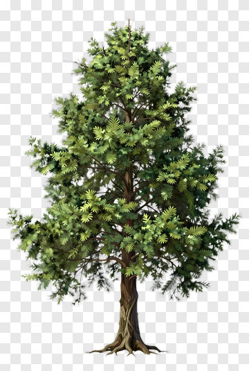 Green Tree PNG