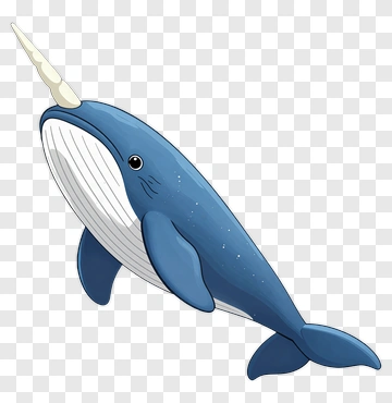 Cartoon Narwhal With A Long Tusk PNG