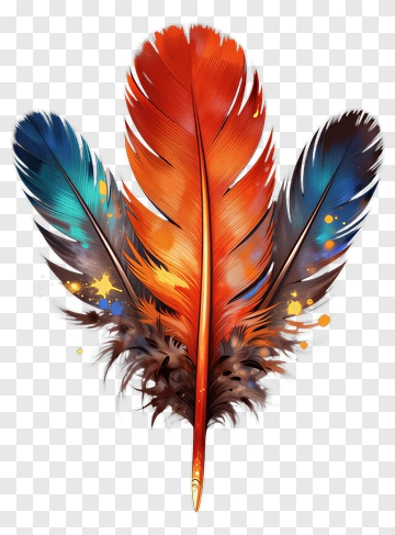 Colorful Feather Arrangement PNG