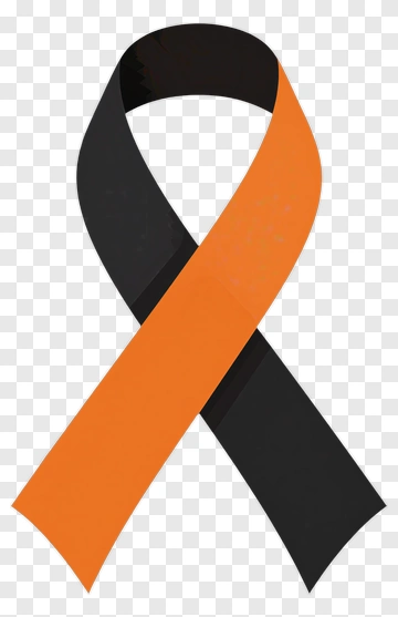 Black And Orange Awareness Ribbon PNG