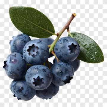 Fresh Blueberries With Leaves PNG