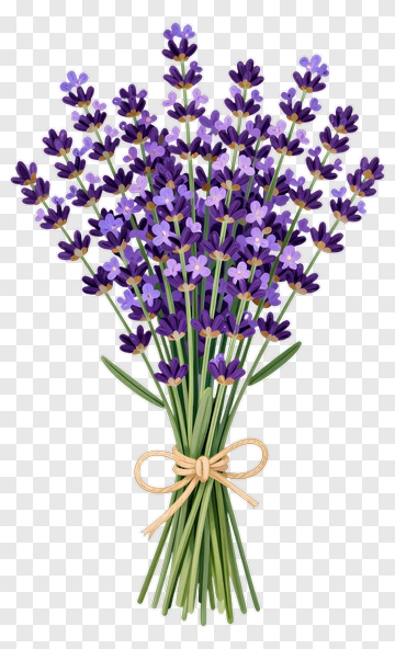 Lavender Bouquet PNG