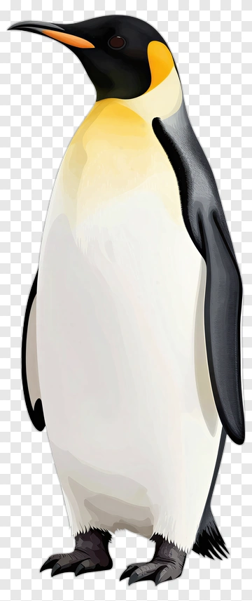 Cartoon Emperor Penguin PNG