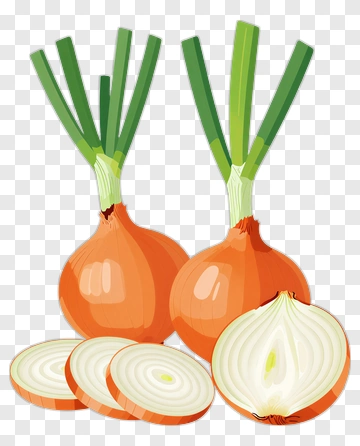Fresh Onions With Green Tops PNG