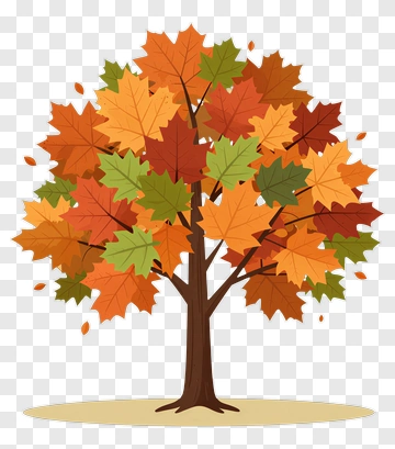 Colorful Tree With Autumn Leaves PNG