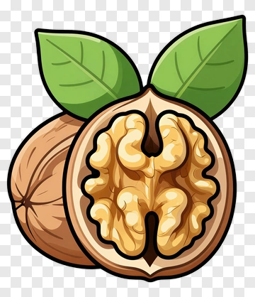 Cartoon Walnut With Leaves PNG
