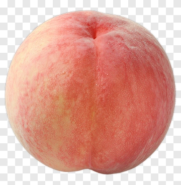 Fresh Peach PNG