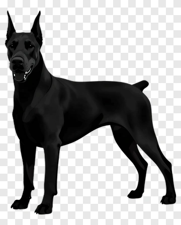 Black Dog PNG