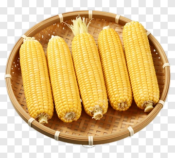 Fresh Corn On The Cob In A Basket PNG
