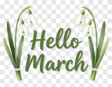 Hello March With Snowdrop Flowers PNG