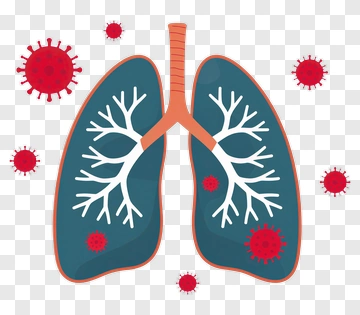Illustration Of Human Lungs With Virus Representation PNG