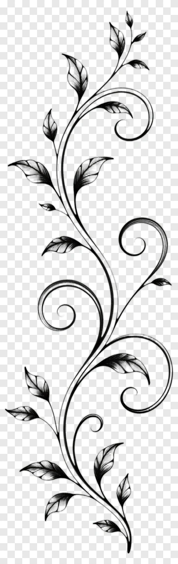 Black Floral Vine With Leaves PNG