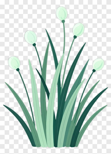 Stylized Green Grass With Flower Buds PNG