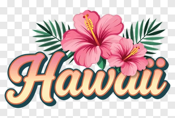 Hawaii Hibiscus Flowers PNG