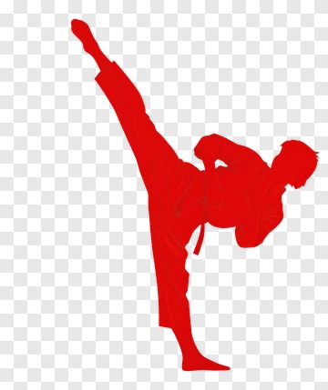 Martial Artist Performing A High Kick PNG