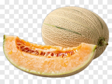 Fresh Cantaloupe Melon And Slice PNG