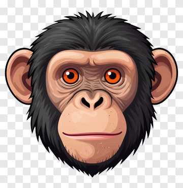 Cartoon Monkey Face PNG