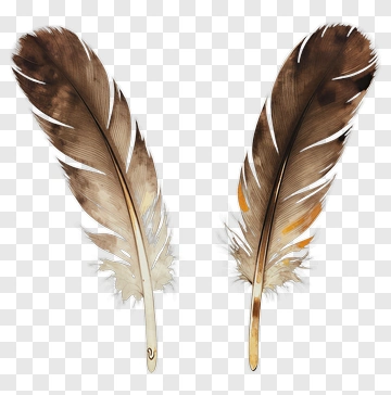 Brown Feather Pair PNG