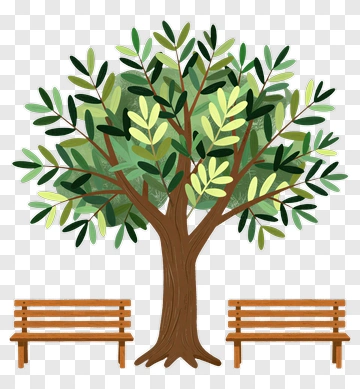 Colorful Tree With Benches PNG