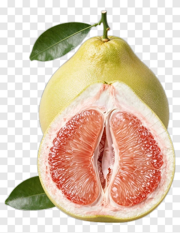 Fresh Pomelo Fruit Halved PNG
