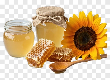 Honey Jar With Sunflower And Honeycomb PNG